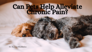 Kh Can Pets Help Alleviate Chronic Pain