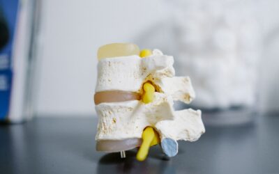 Understanding the Anatomy of the Vertebrae and Discs