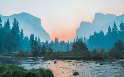 Spending time in nature may assist individuals with chronic back pain in managing their condition.